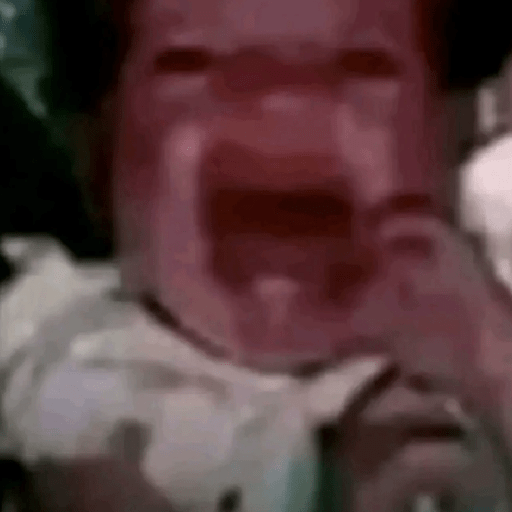 Floptok 12
