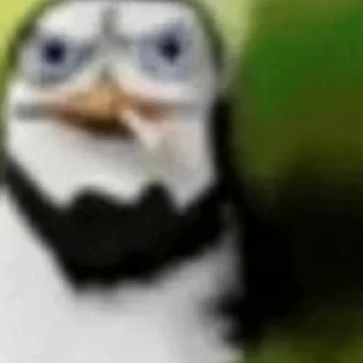 Floptok 15
