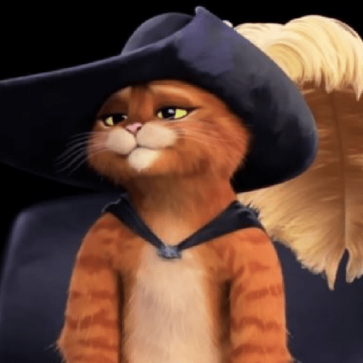 Gato de botas  11