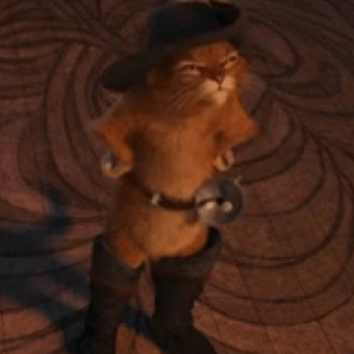 Gato de botas  10