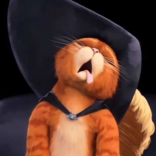 Gato de botas  9