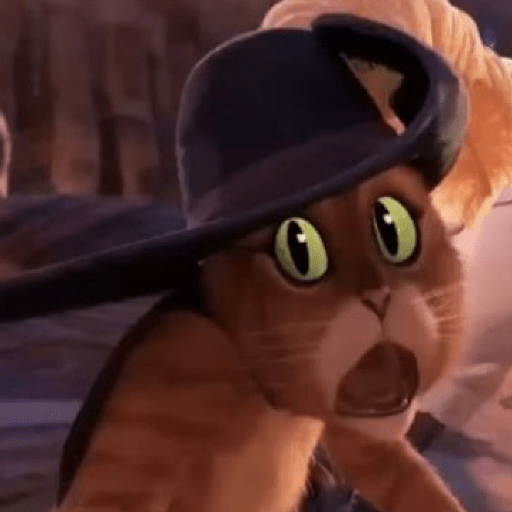Gato de botas  6
