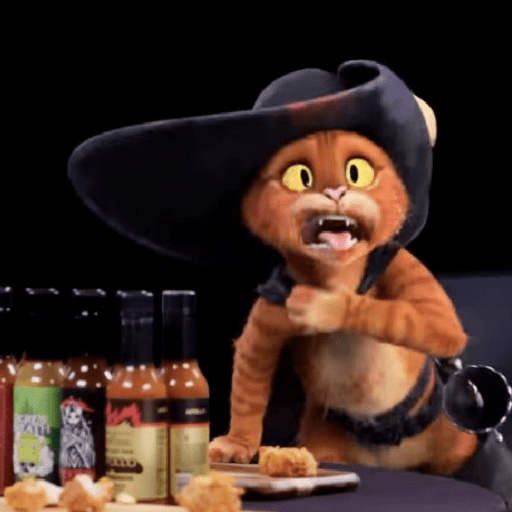 Gato de botas  3