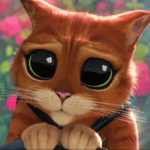 Gato de botas  1