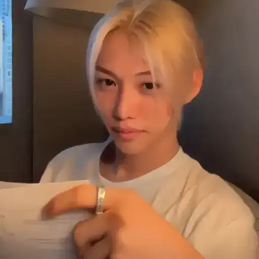 ⣏ . ꒰͜͡   ˙ f ꯭elix . 🐥፝   7