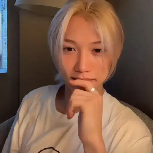 ⣏ . ꒰͜͡   ˙ f ꯭elix . 🐥፝   6