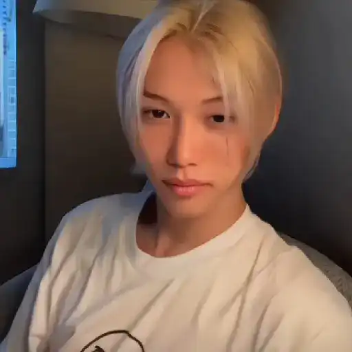 ⣏ . ꒰͜͡   ˙ f ꯭elix . 🐥፝   3