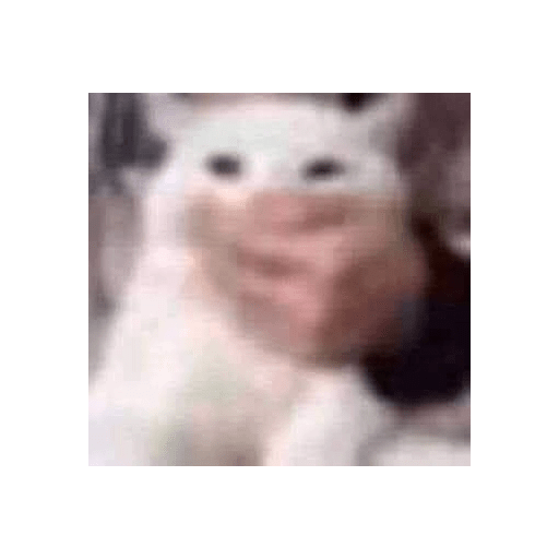 ???? 😍 3