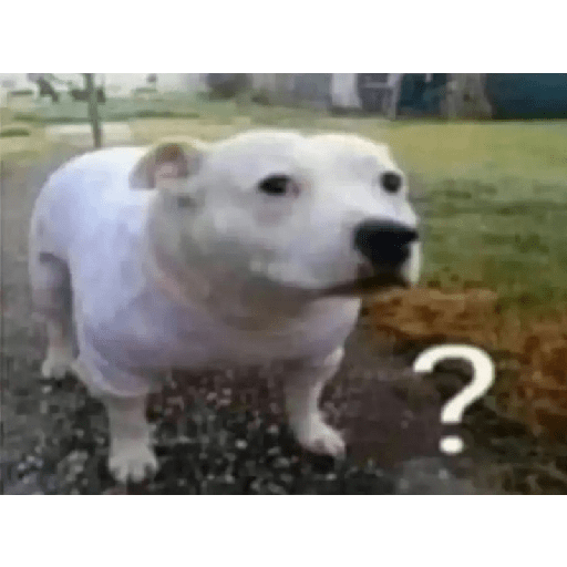 Reaçao 3