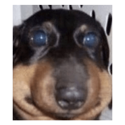 Reaçao 8