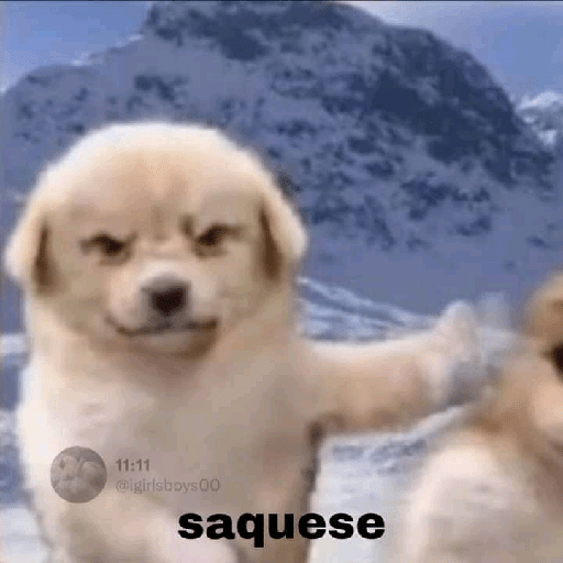 Noseque 17