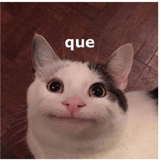 Noseque 24