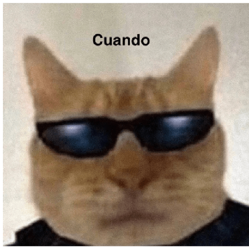 Noseque 20