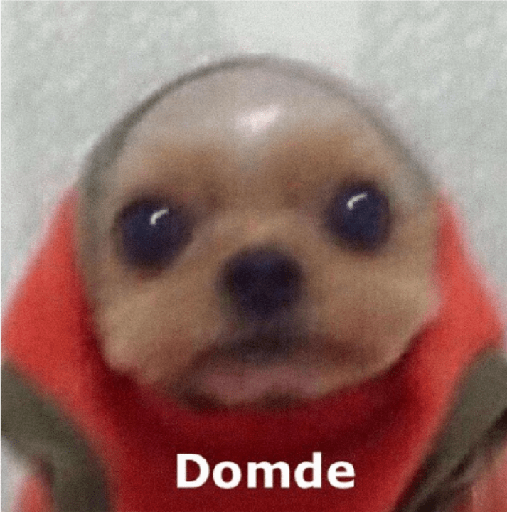 Noseque 21
