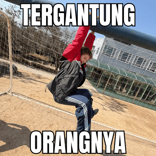 MEME CORTIS  2