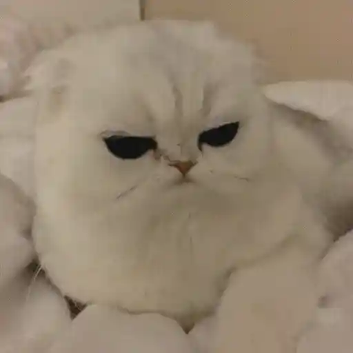 สติกเกอร์