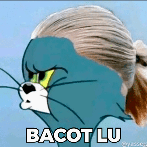 HAALAND MEME 8