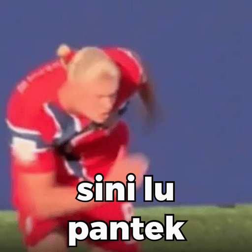 HAALAND MEME 6