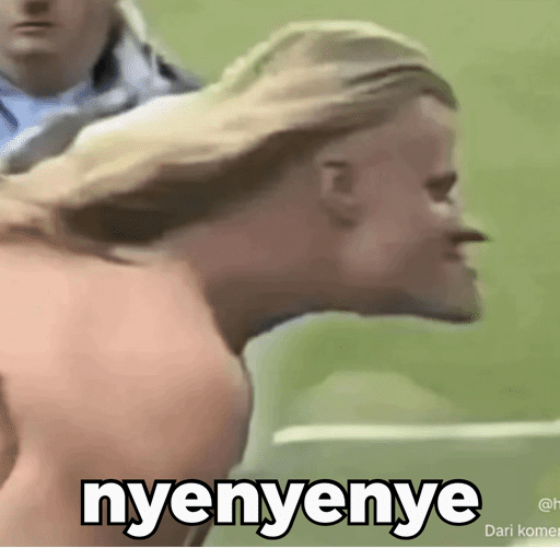HAALAND MEME 12