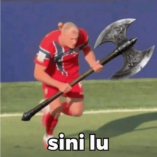 HAALAND MEME 4