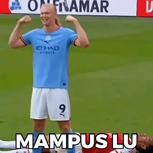 HAALAND MEME 9