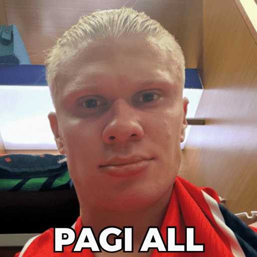 HAALAND MEME 14
