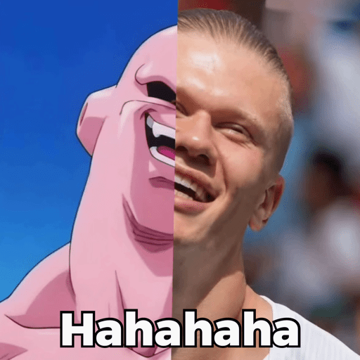 HAALAND MEME 10