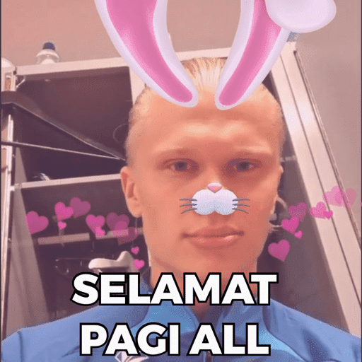 HAALAND MEME 2