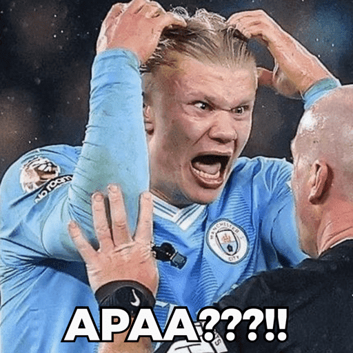 HAALAND MEME