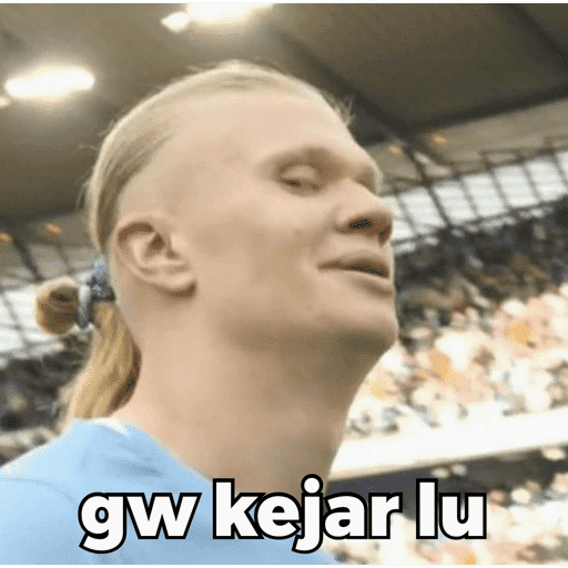 HAALAND MEME 3