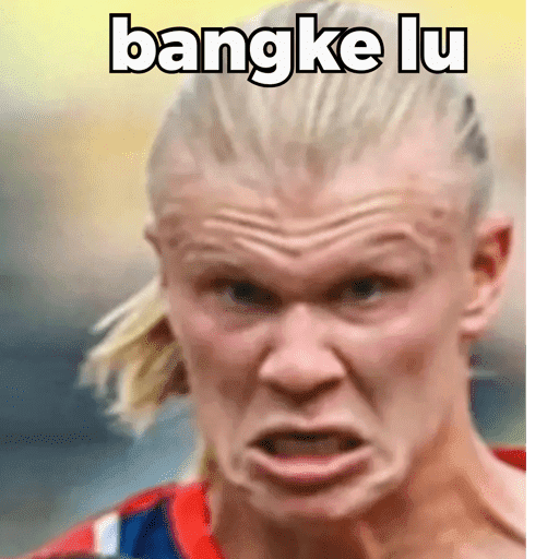 HAALAND MEME 13