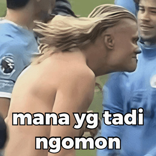HAALAND MEME 7