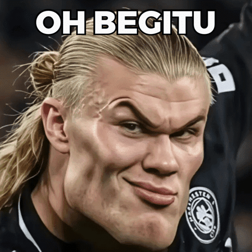 HAALAND MEME 11