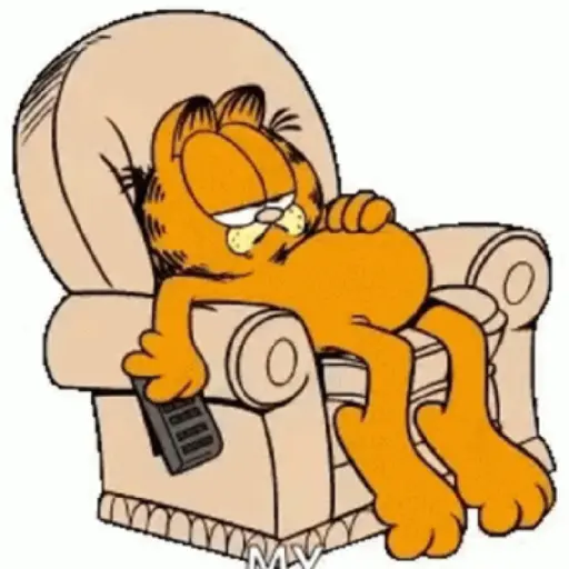 Garfield 15
