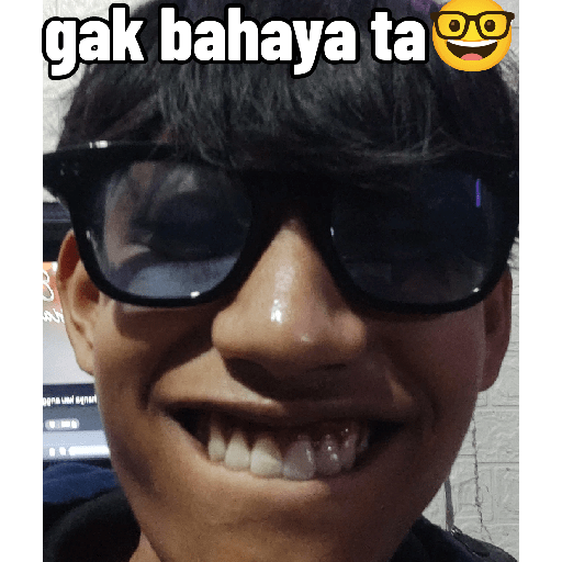 Cepmek 13