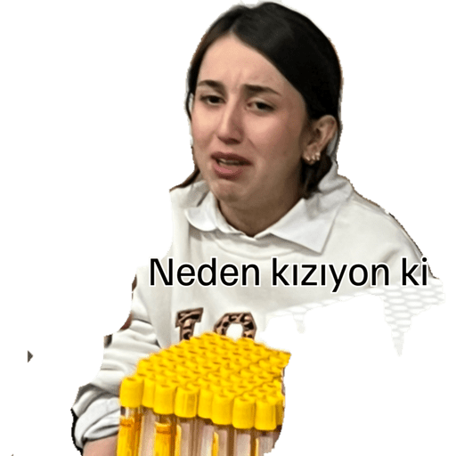Çıkartmalarım 8