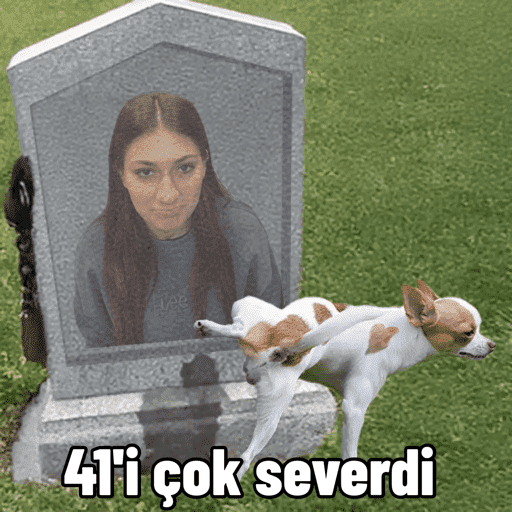 Çıkartmalarım 2