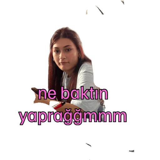 Çıkartmalarım 6