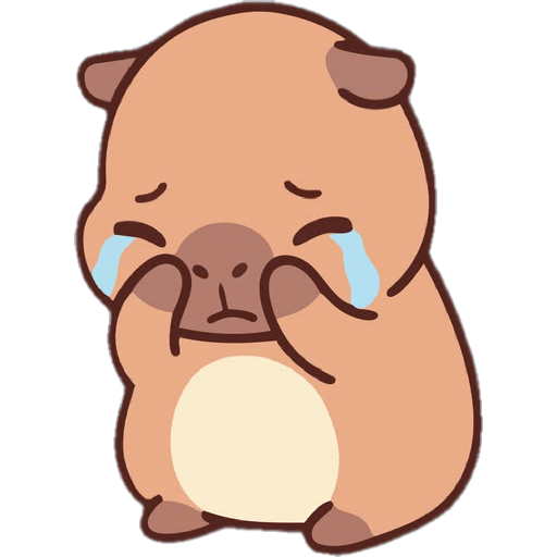 Capibara 🤭 3