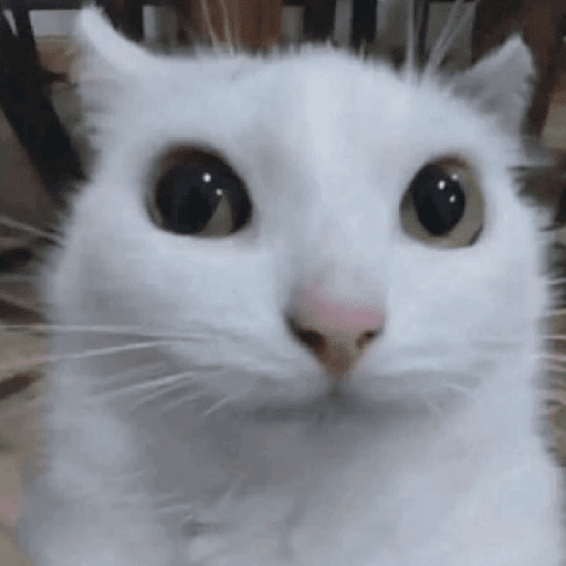 Autism 8: oomfie petting 13