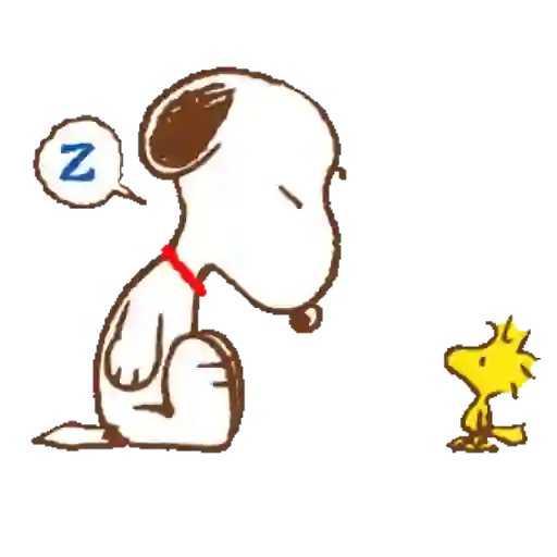 Snoopy 5 ❤️🐾 28