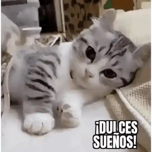 Dulces sueños 5