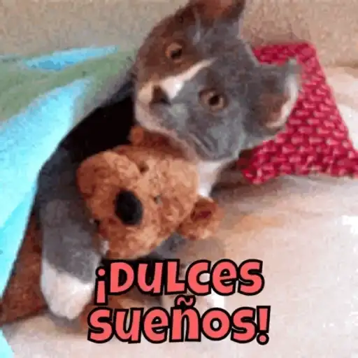 Dulces sueños 3