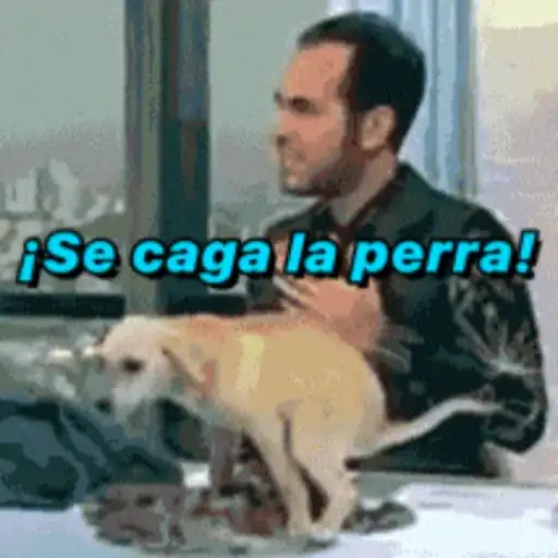 Expletivos 22