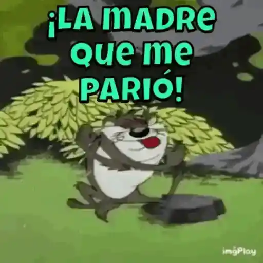 Expletivos 12