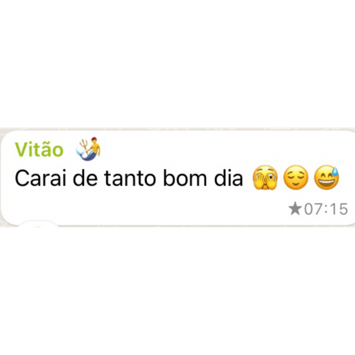 Sou vitao meu patrao 19