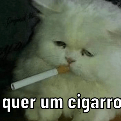 Sou vitao meu patrao 18