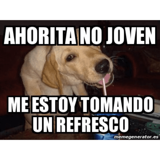 Momos 19