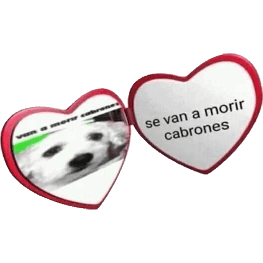 Momos 23