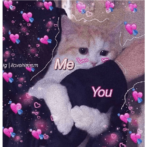 Anime 🐰💞 17